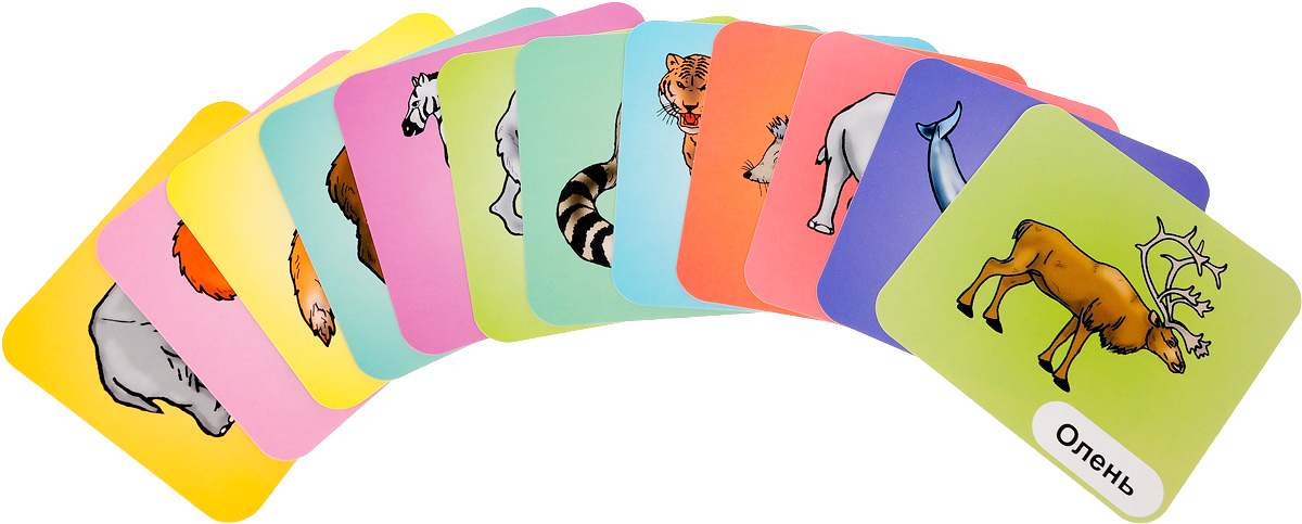 Млекопитающие (набор из 12 развивающих карточек)