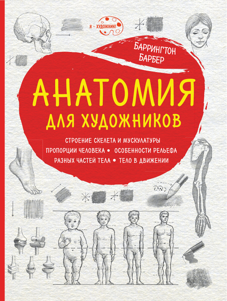 Анатомия для художников Анатомия для художников