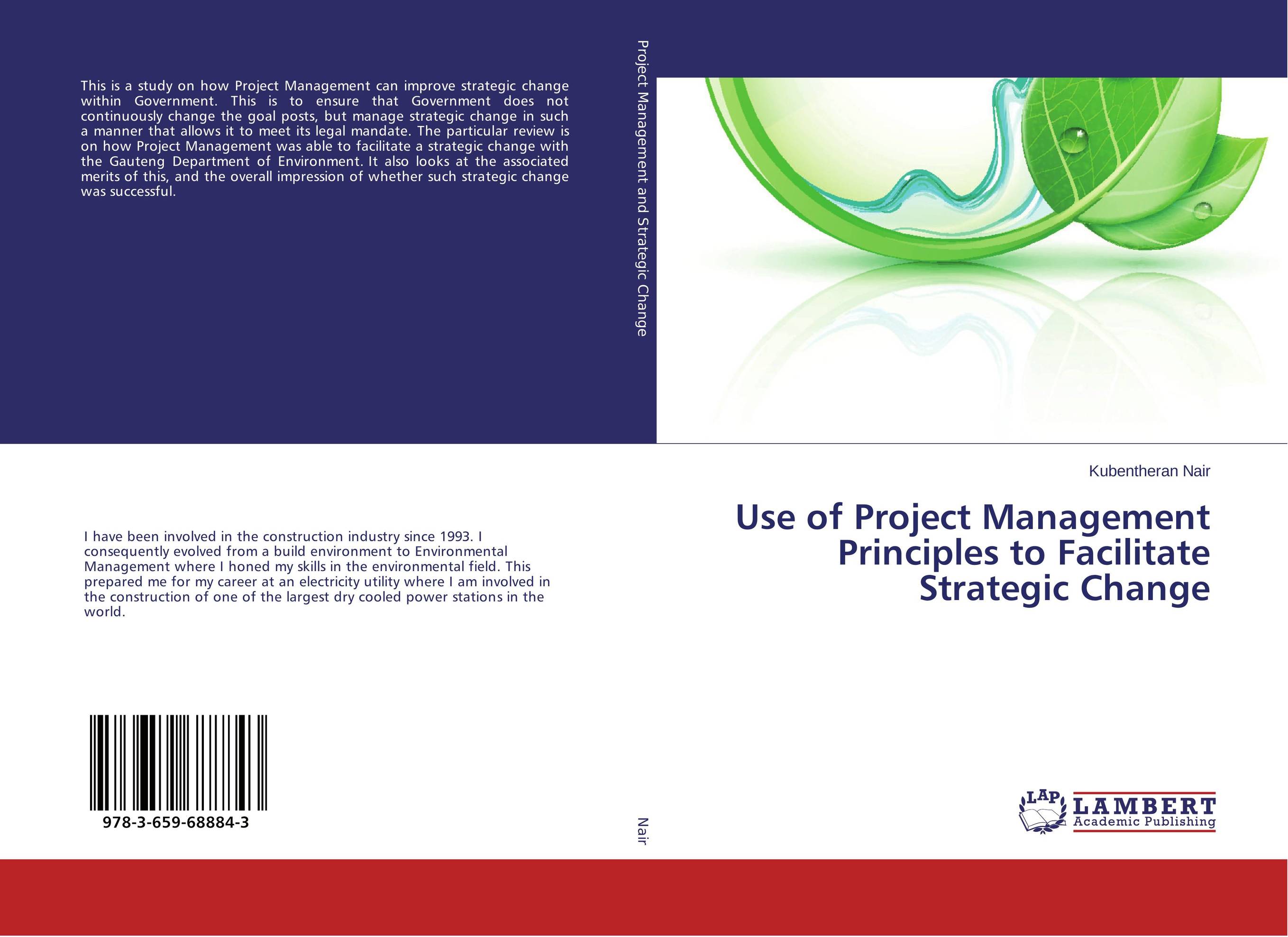 Use of Project Management Principles to Facilitate Strategic Change