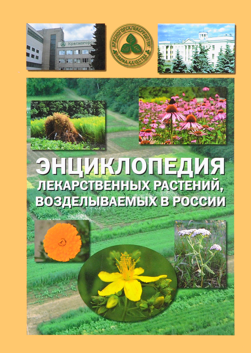Энциклопедия лекарственных растений, возделываемых в России. Том 1