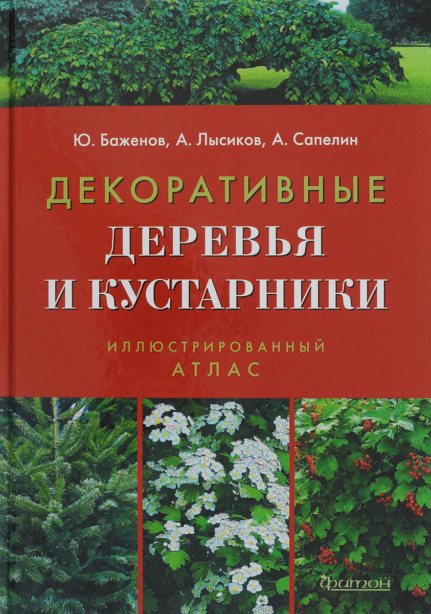 the tree and shrub expert d.g. hessayon the tree and shrub expert d.g. hessayon