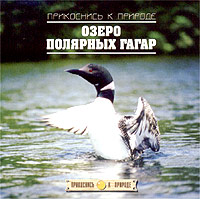 Прикоснись к природе. Озеро полярных гагар