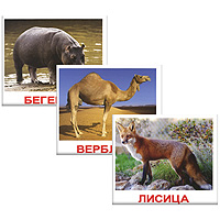 Комплект карточек Дикие животныеВСПБК-ДикЖ Комплект карточек Дикие животныеВСПБК-ДикЖКомплект Дикие животные содержит 20 карточек с изображением разнообразных животных и предназначен для занятий с детьми. Просмотр таких карточек позволяет ребенку быстро усвоить названия животных, запомнить, как они пишутся, развивает у него интеллект и формирует фотографическую память. Карточки животных намеренно сделаны не на белом фоне, а в естественной среде обитания, поскольку такие карточки не только гораздо эстетичнее, но и дают малышам представление об образе жизни животного. Лишних деталей, мешающих восприятию, на картинках нет.