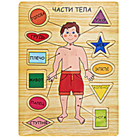 Развивающая игра-пазл Части телаф21-1475 Развивающая игра-пазл Части телаф21-1475Развивающая игра-пазл Части тела, изготовленная из клееной фанеры, состоит из игрового поля-основы и 11 геометрических фигурок с названием частей тела. Для каждой фигурки в основе есть углубление, которое подходит только для нее, ребенку надо правильно расставить все фигурки на свое место. Игра позволит Вашему ребенку изучить все части тела, а также разовьет логическое мышление, мелкую моторику рук и сообразительность. Характеристики: Размер основы: 21,5 см х 29,5 см.