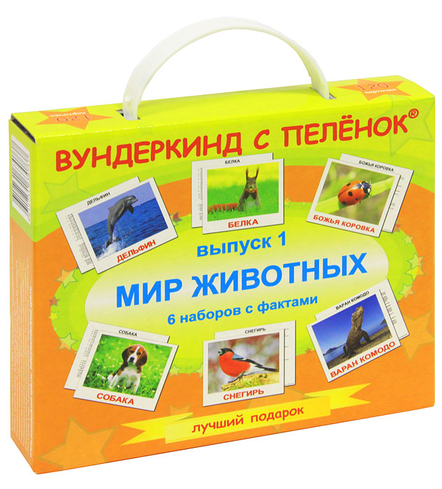 Подарочный набор Мир животных: 6 комплектов карточекВСП-ПНВ1 Подарочный набор Мир животных: 6 комплектов карточекВСП-ПНВ1Подарочный набор Мир животных содержит 6 комплектов карточек с изображением различных животных: домашних животных, диких животных, экзотических животных, птиц, обитателей воды и насекомых. В каждый комплект входят 20 карточек. Карточки намеренно сделаны не на белом фоне, а в естественной среде обитания, что дает малышам представление об образе жизни животных. Просмотр таких карточек позволяет ребенку быстро усвоить названия животных, птиц, рыб и насекомых, запомнить, как пишутся слова, развивает интеллект и формирует фотографическую память.