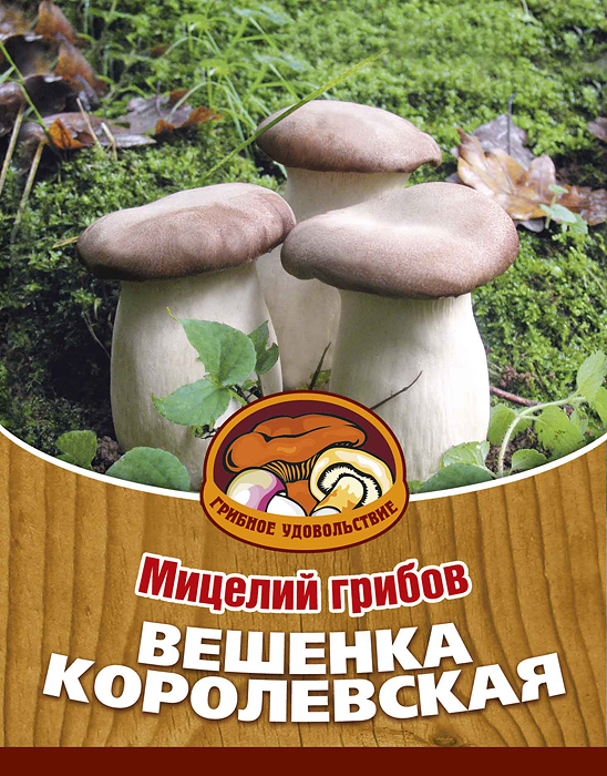 Мицелий грибов Вешенка королевская, 16 древесных палочек10027 Мицелий грибов Вешенка королевская, 16 древесных палочек10027Вешенка королевская весьма популярный гриб в Восточной Азии, который постепенно завоевывает Европу. Гриб обладает высокими кулинарными свойствами: его можно жарить, отваривать для первых блюд и салатов, жарить на гриле. Благодаря мицелию грибов Вешенка королевская теперь вы без труда сможете вырастить любимые грибы у себя в саду или дома. И уже через 3-6 месяцев после посадки у вас появится первый урожай грибов. За один год можно собрать от 3 до 6 кг с каждого бревна. Для того чтобы вырастить грибы вам понадобится: мицелий Грибное удовольствие, бревно лиственных пород (осина, береза, тополь), дрель. Благоприятное время для посадки мицелия Вешенка королевская - в природных условиях с апреля по октябрь, в помещении - круглый год. Плодоносят мицелии в среднем от 3 до 5 лет, в зависимости от сорта грибов. Характеристики: Материал: древесная палочка. Размер упаковки: 11 см х 15,5 см. Артикул: 10027.