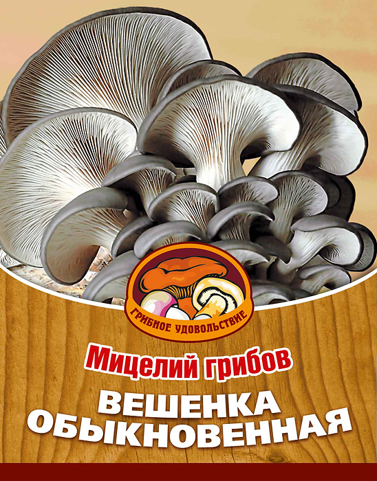 Мицелий грибов Вешенка обыкновенная, 16 древесных палочек10006 Мицелий грибов Вешенка обыкновенная, 16 древесных палочек10006Вешенка обыкновенная содержит все необходимые организму человека вещества (белки, жиры, углеводы, минеральные соли, витамины), имеет низкую калорийность, и даже в небольшом количестве вызывает чувство сытости. Благодаря мицелию грибов Вешенка обыкновенная теперь вы без труда сможете вырастить любимые грибы у себя в саду или дома. И уже через 3-6 месяцев после посадки у вас появится первый урожай грибов. За один год можно собрать от 3 до 6 кг с каждого бревна. Для того чтобы вырастить грибы вам понадобится: мицелий Грибное удовольствие, бревно или палка лиственных пород (бук, тополь, береза, ива, клен, рябина и плодовые деревья), дрель. Благоприятное время для посадки мицелия Вешенка обыкновенная - в природных условиях с апреля по октябрь, в помещении - круглый год. Плодоносят мицелии в среднем от 3 до 5 лет, в зависимости от сорта грибов.