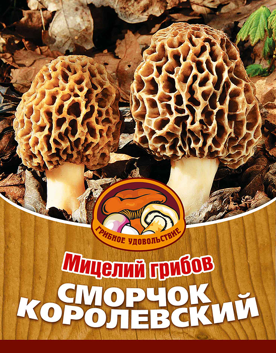 Мицелий грибов Сморчок королевский, субстрат. Объем 60 мл10004 Мицелий грибов Сморчок королевский, субстрат. Объем 60 мл10004Сморчок королевский считается главным грибом в странах Западной Европы и в Америке. Благодаря мицелию грибов Сморчок королевский теперь вы без труда сможете вырастить любимые грибы у себя в саду или дома. И уже через год после посадки у вас появится первый урожай грибов. За один год можно собрать до 5 кг грибов с 1 кв. метра. Для того чтобы вырастить грибы вам понадобится: мицелий Грибное удовольствие, грунт для комнатных растений, опилки, древесная зола, листья деревьев. Благоприятное время для посадки мицелия Сморчок королевский - с апреля по август. Плодоносят мицелии в среднем от 3 до 5 лет, в зависимости от сорта грибов. Характеристики: Материал: субстрат. Объем: 60 мл. Размер упаковки: 11 см х 15,5 см. Артикул: 10004.