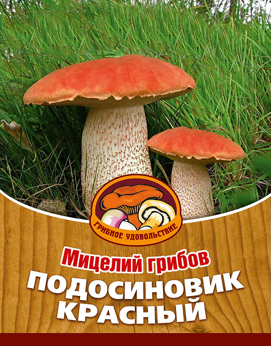 Мицелий грибов "Подосиновик красный", субстрат. Объем 60 мл Мицелий грибов "Подосиновик красный", субстрат. Объем 60 мл