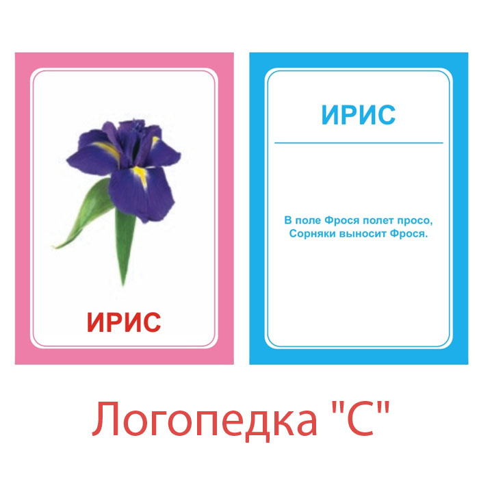 Набор логопедических карточек Логопедка: СВСП-Логопедка С Набор логопедических карточек Логопедка: СВСП-Логопедка СНабор логопедических карточек Логопедка: С поможет вашему ребенку в игровой форме овладеть правильным произношением звуков С и Сь, а также обогатит словарный запас. Комплект содержит 30 двухсторонних карточек с картинками и скороговорками, чистоговорками и стихами на оборотной стороне каждой карточки. Описанные в инструкции речевые игры с карточками познакомят ребенка с такими понятиями, как, род, число, слог, ударение, окончание, а заодно научат рассуждать, сравнивать, анализировать и мыслить логически.