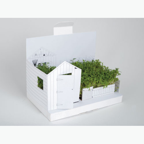  Postcarden . 00148 - BORN00148  Postcarden              .   Postcarden -     !    -  ,   :     , -      .    (Aimee Furnival, )     , , , ,       !    :         -,     .        .    Postcarden -   Postcard  Garden.   ! !            . ...