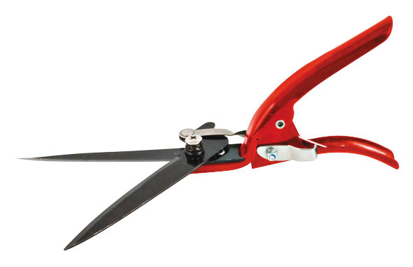 Ножницы для травы FIT, 310 мм. 7709877098 Ножницы для травы FIT, 310 мм. 7709877098Ножницы для стрижки травы FIT широко применяются для работ по ухода за газонами. Лезвия инструмента изготовлены из закаленной инструментальной стали, покрытой антикоррозийным слоем Teflon. Рукоятка для удобства имеет фиксатор. Характеристики: Материал: сталь. Размеры ножниц: 31 см x 7,5 см x 4 см. Размер упаковки: 38 см x 11 см x 4 см.