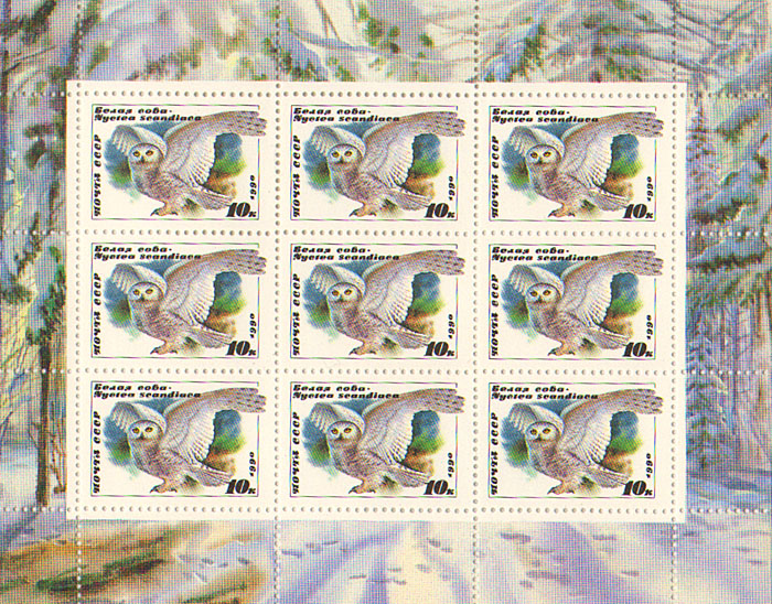 Малый лист Белая сова. СССР, 1990 годF30 BLUE Малый лист Белая сова. СССР, 1990 годF30 BLUEМалый лист Белая сова. СССР. 1990 год. Размер листа 11,5 х 14,5 см. Размер марок 3,7 х 2,6 см. Сохранность хорошая.