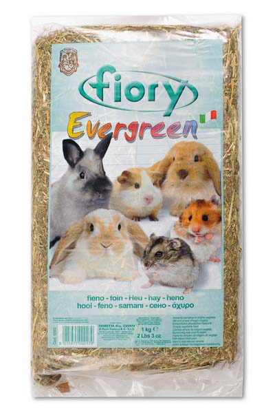    Fiory Evergreen, , 1  - Fiory06560 Fiory Evergreen -      ,    , ,  , , .           .    ,      .         ,   .  .
