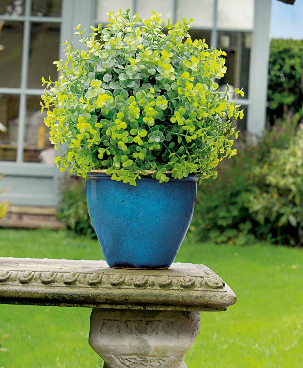 Искусственное растение Gardman Topiary Ball, цвет: зеленый, диаметр 30 см. 0281102811 Искусственное растение Gardman Topiary Ball, цвет: зеленый, диаметр 30 см. 0281102811Искусственное растение Gardman Topiary Ball выполнено из пластика в виде шара. Композиция представляет собой мелкие листья салататово-зеленого цвета. К растению прикреплены три цепочки с крючком, за который его можно повесить в любое место. Также растение можно поместить в горшок. Растение устойчиво к воздействиям внешней среды, таким как влажность, солнце, перепады температуры, не выцветает со временем. Искусственное растение Gardman Topiary Ball великолепно украсит интерьер офиса, дома или сада. Характеристики: Материал: пластик, металл. Цвет: зеленый. Диаметр шара: 30 см. Длина цепочек с крючком: 30 см.