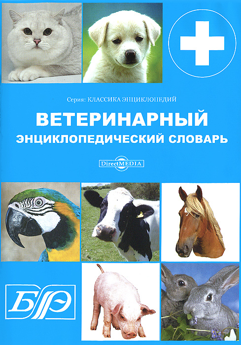 Большая Советская Энциклопедия Электронная Версия Большая Советская Энциклопедия Электронная Версия