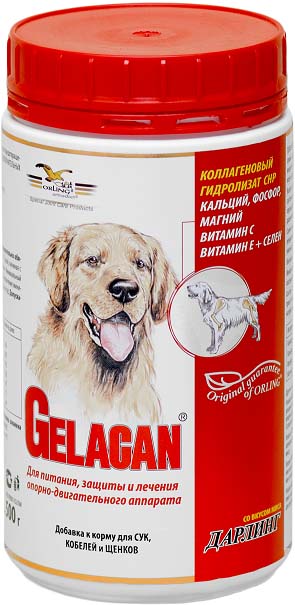 Добавка к корму для собак Orling Гелакан Дарлинг, 500 г. GLN-2GLN-2 Добавка к корму для собак Orling Гелакан Дарлинг, 500 г. GLN-2GLN-2Добавка к корму для собак Orling Гелакан Дарлинг восстанавливает ткани суставов, укрепляет кости, связки и сухожилия. Применяется для предотвращения заболеваний и травм опорно-двигательного аппарата у собак всех пород и возрастов, а также при излишнем весе. Со второй половины жизни собаки желательно непрерывное применение. Показания: - для профилактики заболеваний опорно-двигательного аппарата; - для восстановления суставных хрящей, костей, связок и сухожилий; - при заболеваниях и травмах сухожилий; - при дисплазии тазобедренных суставов; - после операций и травм для ускорения заживления ран; - для продления активной жизни собаки. Характеристики: Состав (в 1 кг): коллаген СHP 815 г, кальций 25 г, фосфор 21 г, магний 5 г, селен 4 мг, бета-каротин 200 мг, витамин С 5 г, витамин Е 3,8 г. Вес: 500 г. Товар сертифицирован.