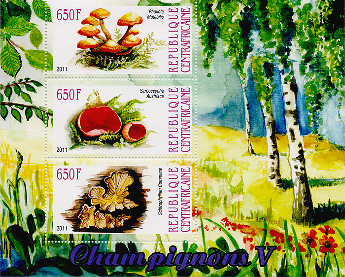 Малый лист с зубцами Грибы V. ЦАР, 2011 год471305 Малый лист с зубцами Грибы V. ЦАР, 2011 год471305Малый лист с зубцами,Грибы V. ЦАРЦАР, 2011 год. Размер марок 3,5 х 6,5 см, размер листа 13,5 х 16,5 см. Сохранность хорошая.