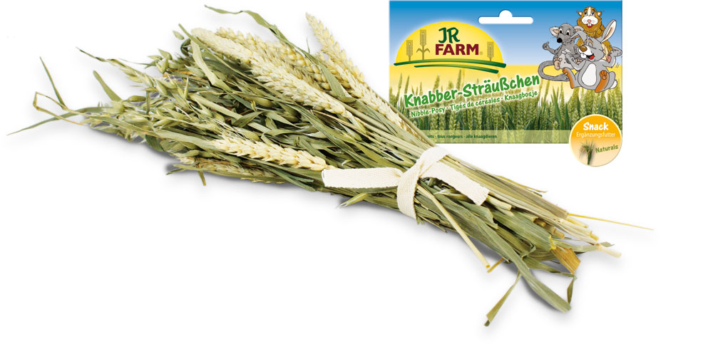Лакомство для грызунов JR Farm Букет зерновых культур, 25 г25591/2094 Лакомство для грызунов JR Farm Букет зерновых культур, 25 г25591/2094Лакомство для грызунов JR Farm Букет зерновых культур состоит из множества злаковых растений и способствует здоровому и естественному питанию грызунов и птиц. Корм легко дозировать, он отлично подходит в качестве перекуса. Рекомендации по кормлению: в зависимости от размера животного, положите от 3 (например, для мышей, волнистых попугаев) до 14 (кроликам, австралийским попугаям) отдельных растений в клетку в неделю. В клетку птицам растения можно подвешивать. Состав: зеленые колосья пшеницы и метелки овса с зерном. Пищевая ценность: белок 9,9%, жиры 1,9%, клетчатка 27,5%, зола 5,3%. Вес: 25 г. Товар сертифицирован.