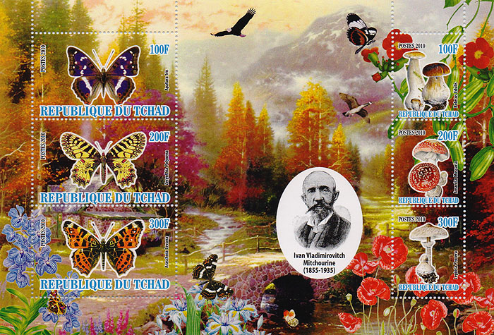 Малый лист с зубцами Биолог и селекционер Мичурин И.В.. Чад. 2010 год656 Малый лист с зубцами Биолог и селекционер Мичурин И.В.. Чад. 2010 год656Малый лист с зубцами Биолог и селекционер Мичурин И.В.. Чад. 2010 год. Размер марок 3 х 5 см, 2,5 х 3 см, размер листа 12 х 17,5 см. Сохранность хорошая.
