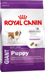 Корм сухой Royal Canin Giant Puppy, для щенков собак очень крупных размеров от 2 до 8 месяцев, 15 кг195150 Корм сухой Royal Canin Giant Puppy, для щенков собак очень крупных размеров от 2 до 8 месяцев, 15 кг195150Сухой корм Royal Canin Giant Puppy - это полнорационный сухой корм для щенков собак очень крупных размеров (вес взрослой собаки более 45 кг) в возрасте с 2 до 8 месяцев. Ключевые преимущества: - Максимальная пищевая переносимость. Формула с содержанием высококачественных белков L.I.P, а также пребиотиков - фруктоолигосахаридов и маннановых олигосахаридов, оказывает благоприятное воздействие на пищеварительную систему и поддерживает оптимальную консистенцию стула; - Интенсивный рост (сбалансированное содержание энергии). Формула обеспечивает потребности в питательных веществах во время первой фазы роста щенков гигантских собак и предотвращает набор лишнего веса благодаря адаптированному содержанию энергии; - Здоровье костей и суставов. Формула с оптимальным уровнем энергии и минералов (кальция и фосфора) способствует поддержанию костей и суставов щенков собак очень крупных размеров в период роста; - Естественные механизмы защиты. ...