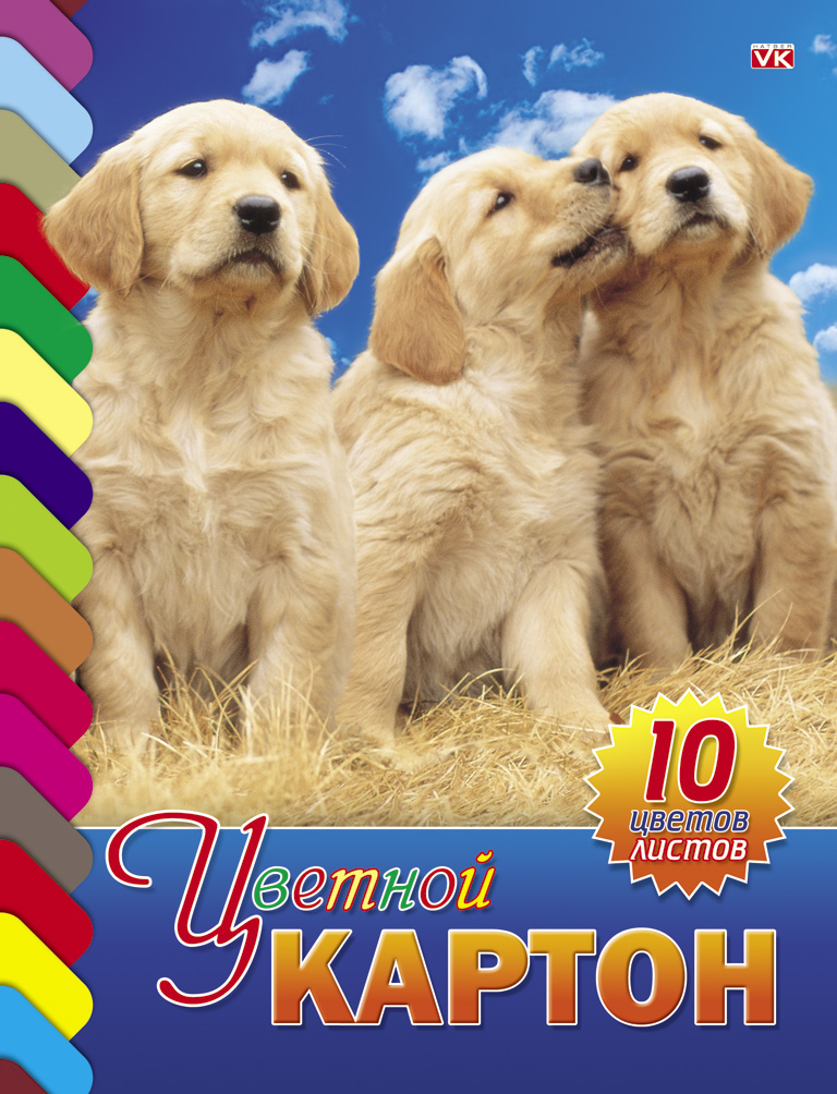 Цветной картон Hatber Три щенка, 10 листов10Кц4к_01021 Цветной картон Hatber Три щенка, 10 листов10Кц4к_01021Набор бумаги и цветного картона Hatber Три щенка позволит вашему малышу раскрыть свой творческий потенциал. Набор содержит 10 листов цветного картона оранжевого, золотого, серебряного, желтого, черного, коричневого, зеленого, голубого, фиолетового, красного цветов. На внутренней стороне обложки расположено изображение очаровательного щенка и бабочки, которое малыш сможет раскрасить по своему желанию. Создание поделок из картона - это увлекательнейший процесс, способствующий развитию у ребенка фантазии и творческого мышления. Набор не содержит каких-либо инструкций - ребенок может дать волю своей фантазии и создавать собственные шедевры! Набор прекрасно подойдет для создания аппликаций и изготовления поделок из картона. Порадуйте своего малыша таким замечательным подарком!