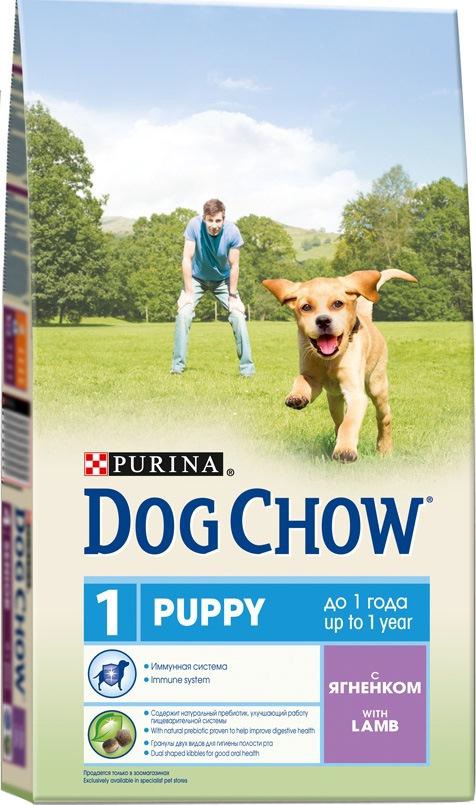 Корм сухой для щенков Dog Chow, с ягненком, 2,5 кг12260305 Корм сухой для щенков Dog Chow, с ягненком, 2,5 кг12260305Корм сухой Dog Chow - полнорационный корм для щенков до 1 года с ягненком. Подходит для кормления беременных и лактирующих собак, а также взрослых собак мелких пород. Иммунная система. Корм для щенков содержит витамин Е, который в качестве антиоксиданта участвует в борьбе со свободными радикалами и укрепляет естественную защиту организма. Содержит натуральный пребиотик, улучшающий работу пищеварительной системы. Цикорий - источник натурального пребиотика, который, как показали исследования, способствует росту численности полезных кишечных бактерий и нормализации деятельности пищеварительной системы. Через 30 дней питания кормом Dog Chow количество бифидобактерий может возрастать в 100 раз, помогая вашей собаке сохранять хорошее пищеварение. Гранулы двух видов помогают щенку научиться пережевывать пищу, что способствует формированию правильного пищевого поведения, обеспечивает достаточное потребление калорий и гигиену ротовой полости с...