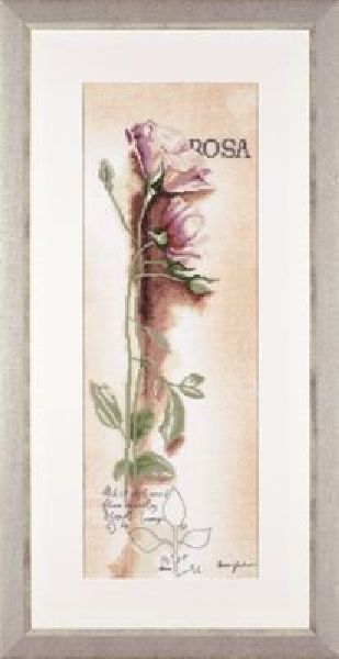     Lanarte Rosa - Botanical, 20  60  - Lanarte182925    Lanarte Rosa - Botanical      ,      .  ,        , -         .      .           ! ,   ,                ,  ,  ,       .   : -     ( 100% , 12   1 , 30 ), - - , -  DMC 100%  (26 ), - .  : 30  77 . : Anna Gardner.