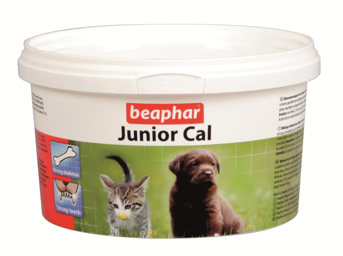 Минеральная смесь Beaphar Junior Cal, для кошек и собак, 200 г13126 Минеральная смесь Beaphar Junior Cal, для кошек и собак, 200 г13126Минеральная добавка Beaphar Junior Cal предназначена для щенков и котят, растущих собак и кошек, а также других животных c шерстяным покровом. Junior Cal - это смесь минералов, которая обеспечит вашему животному прочный костяк, крепкие зубы и красивую шерсть. Смесь также подходит в качестве укрепляющего препарата для беременных и кормящих животных. Состав: минеральные вещества, молоко и молочные продукты, дрожжи. Анализ: протеин 2,1%, масла и жиры 0,2%, клетчатка 0,12%, зольные компоненты 73%, влага 18%, кальций 24%, фосфор 24%, магний 0,8%. Вес упаковки: 200 г. Товар сертифицирован. Уважаемые клиенты! Обращаем ваше внимание на возможные изменения в дизайне упаковки. Качественные характеристики товара остаются неизменными. Поставка осуществляется в зависимости от наличия на складе.