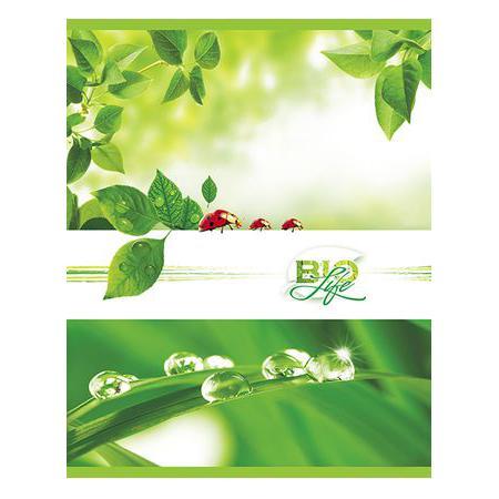 Тетрадь 96л А5ф клетка на скобе серия Bio Life96Т5B1 Тетрадь 96л А5ф клетка на скобе серия Bio Life96Т5B1Тетрадь с обложкой из картона, защищающей бумагу от деформации.