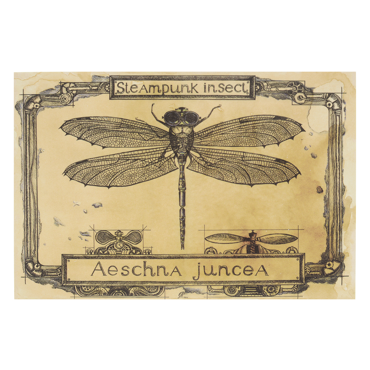  Steampunk Insect. .    - CardsPoint / SM10-003      Steampunk Insect     .         .           , , ,        .