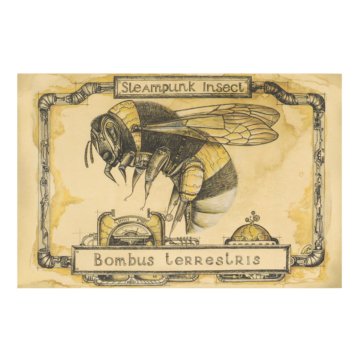 Открытка Steampunk Insect. Шмель. Автор Мария СкородумоваSM10-006 Открытка Steampunk Insect. Шмель. Автор Мария СкородумоваSM10-006Оригинальная дизайнерская открытка Шмель из серии Steampunk Insect выполнена из плотного матового картона. На лицевой стороне расположена репродукция картины художницы Марии Скородумовой. Такая открытка станет великолепным дополнением к подарку или оригинальным почтовым посланием, которое, несомненно, удивит получателя своим дизайном и подарит приятные воспоминания.