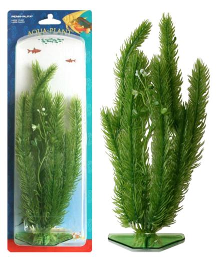 Растение CLUB MOSS 27см зеленое. МАЙЯКА.P8L Растение CLUB MOSS 27см зеленое. МАЙЯКА.P8LРаспространение: Серевная Америка. Использование: размещается группами на переднем и среднем плане.