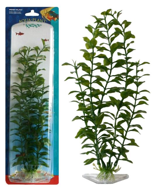 Растение BLOOMING LUDWIGIA 22см зеленое. ЛЮДВИГИЯ.P12M Растение BLOOMING LUDWIGIA 22см зеленое. ЛЮДВИГИЯ.P12MРаспространение: Серевная Америка. Использование: широко известное растение преимущественно среднего и заднего планов, эффектно выглядит в группах растений.