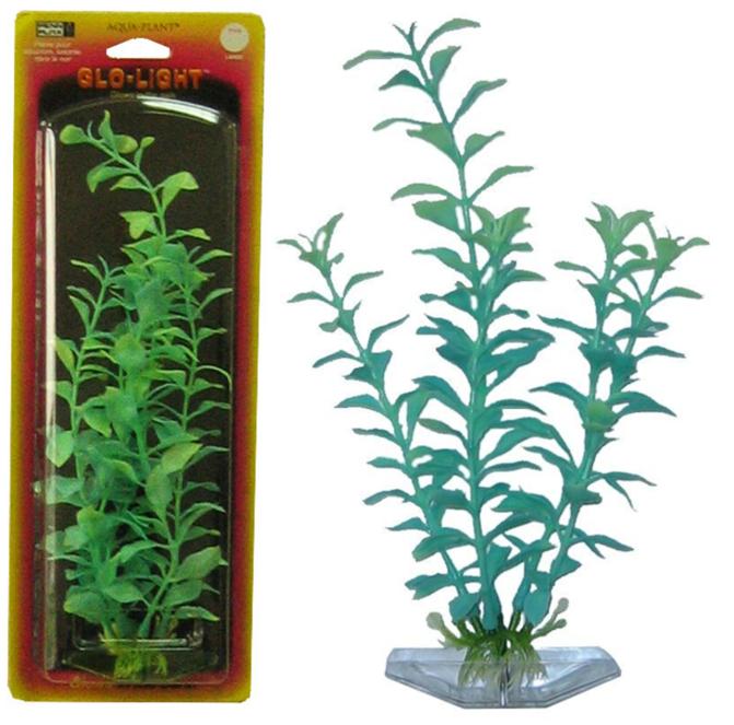 Растение BLOOMING LUDWIGIA 22см сине-зеленое светящееся. ЛЮДВИГИЯP12MGL Растение BLOOMING LUDWIGIA 22см сине-зеленое светящееся. ЛЮДВИГИЯP12MGLРаспространение: Серевная Америка. Использование: эффектный светящийся вариант популярного растения.
