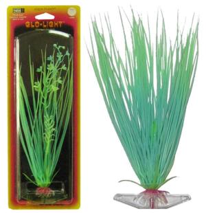 Растение HAIRGRASS 22см сине-зеленое светящееся. ЭЛЕОХАРИСP16MGL Растение HAIRGRASS 22см сине-зеленое светящееся. ЭЛЕОХАРИСP16MGLРаспространение: Серевная Америка. Использование: эффектный светящийся вариант популярного растения.