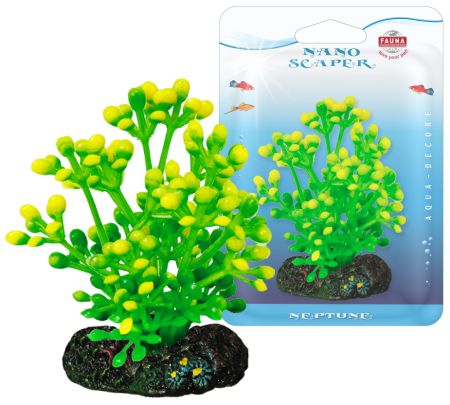 Растение CAULERPA 7см с грузом желто-зеленое. КАУЛЕРПАFIPP-0107 Растение CAULERPA 7см с грузом желто-зеленое. КАУЛЕРПАFIPP-0107Распространение: тропические моря. Использование: эффектны вариант водоросли для переднего плана.