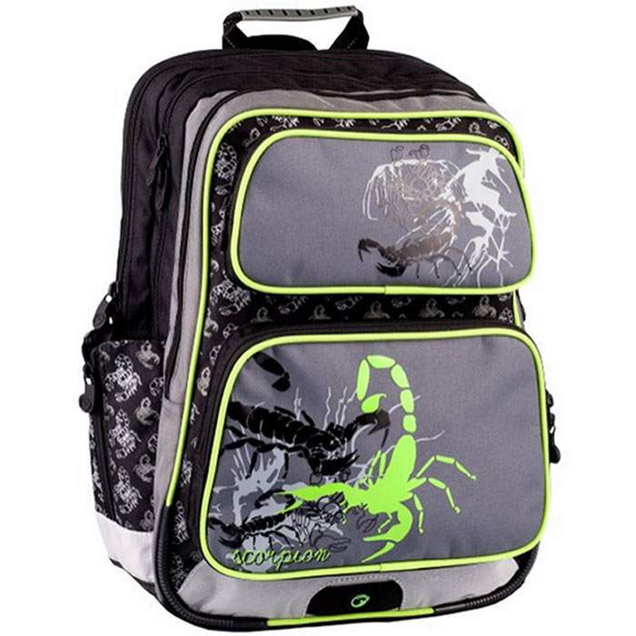 BagMaster Рюкзак школьный GOTSCHY 0114 D цвет серый зеленыйBM-GOTSCHY 0114 D BagMaster Рюкзак школьный GOTSCHY 0114 D цвет серый зеленыйBM-GOTSCHY 0114 DШкольный рюкзак BagMaster GOTSCHY 0114 D выполнен из полиэстера и имеет два внутренних отделения, а также дополнен двумя карманами на молнии на передней части. Во внутреннее отделение помещаются альбомы, тетради, контурные карты и другие бумаги формата А4. Задняя часть армирована легкой алюминиевой рамкой, повторяющей контур позвоночника и снимающей нагрузку. Анатомическая спинка выполнена из воздухопроницаемого материала. Один боковой карман для бутылки с водой. Мягкие, регулируемые плечевые ремни анатомической формы и фиксирующий нагрудный ремень обеспечат комфорт при переноске. Износоустойчивое дно с пластиковыми ножками защитит содержимое рюкзака от влаги. Светоотражающие элементы для повышения безопасности ребенка в темное время суток нашиты по всему периметру рюкзака. Сверху расположена удобная эргономичная ручка для переноски.