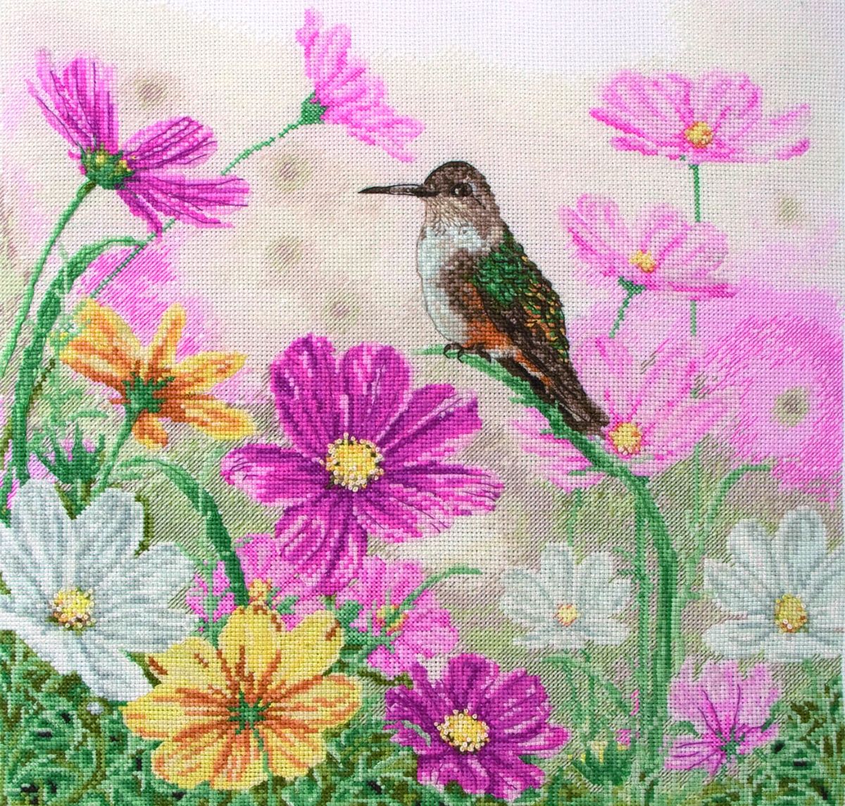    Maia Bird And Floral /  / 30*30 (:  Aida 16,  ,  Anchor, , ),   - Coats5678000-01218   Maia Bird And Floral /  / 30*30 (:  Aida 16,  ,  Anchor, , ),  