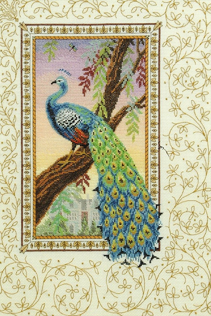 Набор для вышивания Anchor Renaissance Peacock /Ренессанс. Павлин/ 44*30см (состав: канва Aida 14, цветная схема, нитки Anchor, игла, инструкция), счетный крестCC80455 Набор для вышивания Anchor Renaissance Peacock /Ренессанс. Павлин/ 44*30см (состав: канва Aida 14, цветная схема, нитки Anchor, игла, инструкция), счетный крестCC80455Набор для вышивания Anchor Renaissance Peacock /Ренессанс. Павлин/ 44*30см (состав: канва Aida 14, цветная схема, нитки Anchor, игла, инструкция), счетный крест