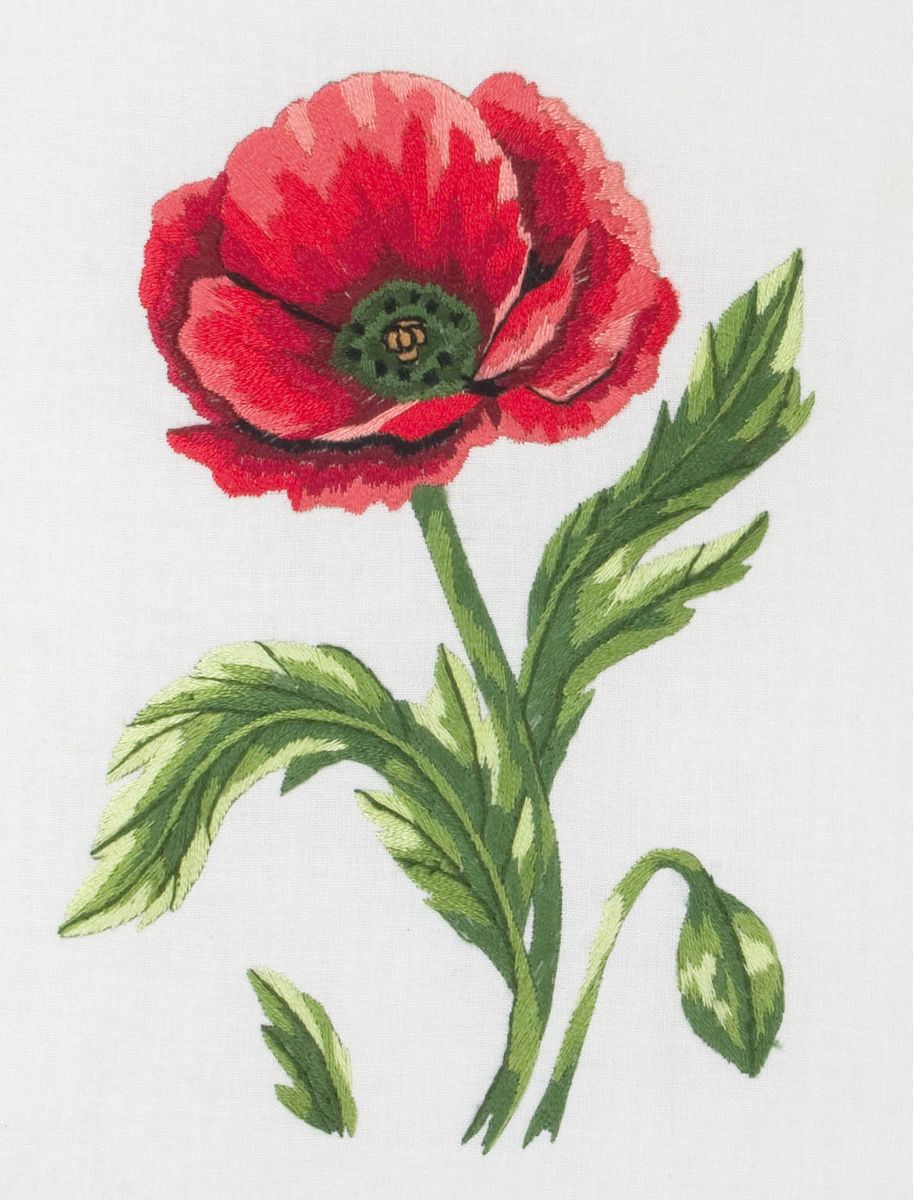 Набор для вышивания Anchor Poppy /Маки/ 20*15см (состав: канва, цветная схема, нитки Anchor, игла, инструкция), гладьPE654 Набор для вышивания Anchor Poppy /Маки/ 20*15см (состав: канва, цветная схема, нитки Anchor, игла, инструкция), гладьPE654Набор для вышивания Anchor Poppy /Маки/ 20*15см (состав: канва, цветная схема, нитки Anchor, игла, инструкция), гладь