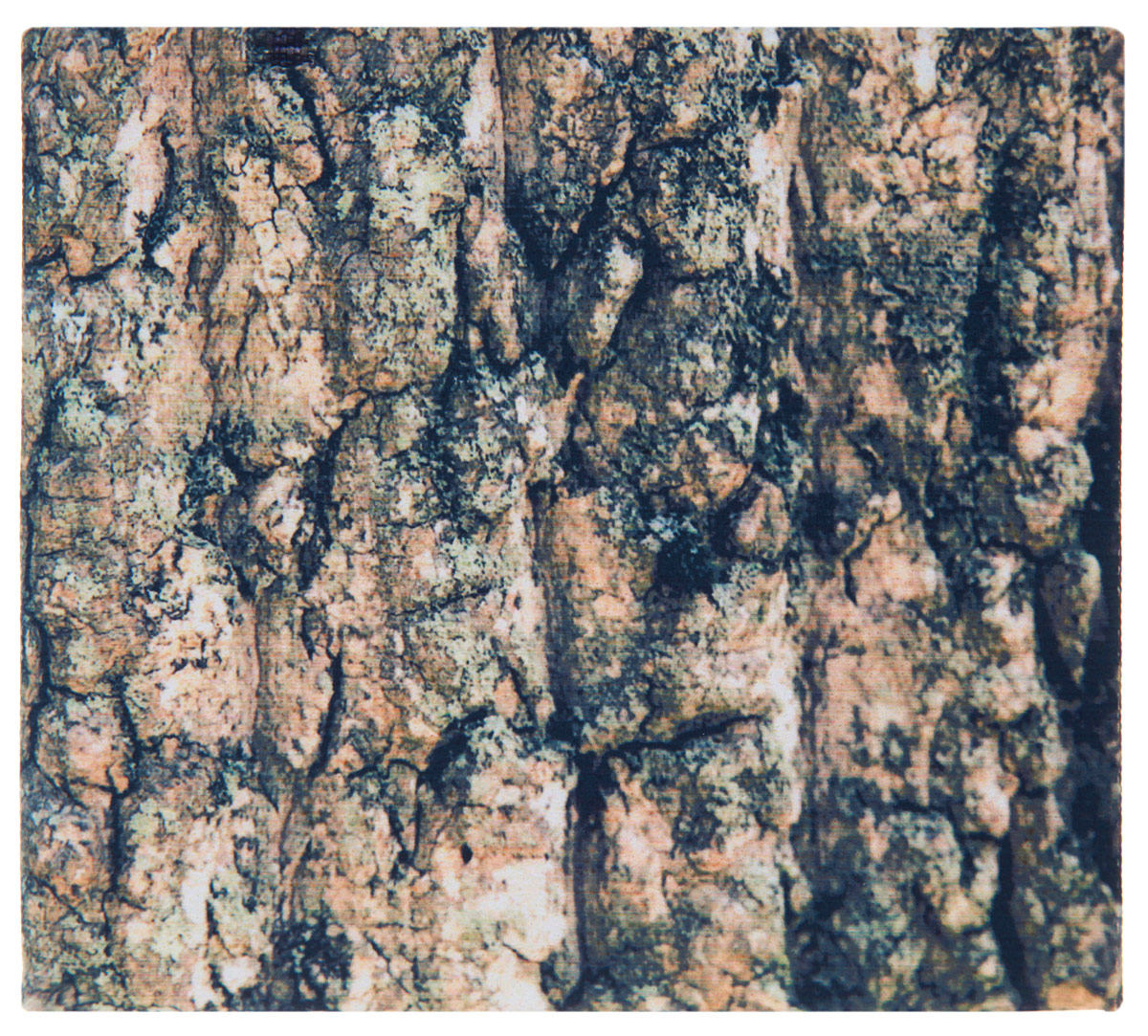 Кошелек Кора. KZAM019KZAM019 Кошелек Кора. KZAM019KZAM019Авторский, неповторимый кошелек от Mitya Veselkov Кора выполнен из синтетического материала и оформлен изображением коры. Кошелек раскладывается пополам и содержит отделение для купюр и два врезных кармана для кредитных карт или визиток. Стильный кошелек Mitya Veselkov Кора станет отличным подарком для творческого человека.