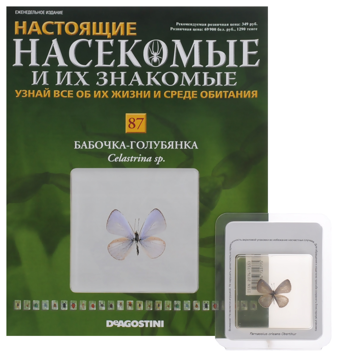 Журнал Насекомые и их знакомые №87INSECTSRL087 Журнал Насекомые и их знакомые №87INSECTSRL087Выпуски Насекомые и их знакомые представляют собой познавательные журналы, создаваемые итальянским издательством DeAgostini специально для людей, увлекающихся энтомологией. Если вы решите заказать коллекцию Насекомые и их знакомые для ребенка - у него появится оригинальное хобби. Эта серия журналов станет приятным и полезным приобретением для каждого, кому интересны представители класса членистоногих. К данному выпуску прилагается образец бабочки-голубянки. Образец залит эпоксидной смолой в прямоугольный брусок. Размер бруска: 6 х 6 х 1 см. Категория 12+.