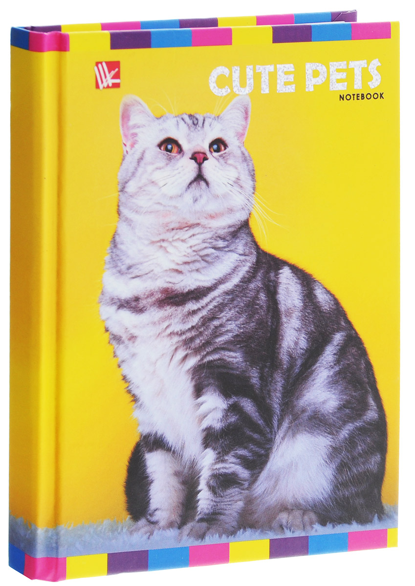 Listoff Записная книжка Кот 96 листов в клеткуКЗФ6961785 Listoff Записная книжка Кот 96 листов в клеткуКЗФ6961785Записная книжка Listoff Кот - незаменимый атрибут современного человека, необходимый для рабочих и повседневных записей в офисе и дома. Обложка выполнена из плотного картона, что позволяет делать записи на ходу. Записная книжка содержит 96 листов в клетку. Записная книжка Listoff Кот станет достойным аксессуаром среди ваших канцелярских принадлежностей. Она пригодится как для деловых людей, так и для любителей записывать свои мысли, писать мемуары или делать наброски новых стихотворений.