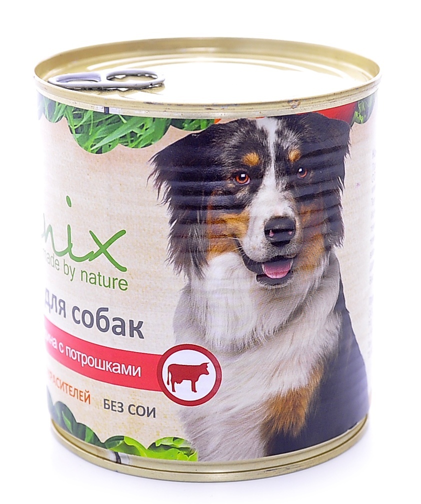 Консервы для собак Organix, с говядиной и потрошками, 750 г18071 Консервы для собак Organix, с говядиной и потрошками, 750 г18071Консервы Organix - вкусный консервированный корм для собак с говядиной и потрошками. Изготовлен из 100% свежего мяса различного вида. Не содержит искусственных красителей, ароматизаторов или консервантов, ГМО. Специальная обработка помогает сохранять корм длительное время. Приготовлены из тщательно отобранных сортов мяса, которые внесут приятное разнообразие в меню вашей собаки. Корм разработан для обеспечения всех питательных потребностей взрослых собак. Состав: говядина, рубец, печень, сердце, легкое, натуральная желирующая добавка, злаки (не более 2%), соль, растительное масло, вода. В 100 г продукта: протеин - 8,0, жир - 6,0, углеводы - 4,0, клетчатка - 0,2, зола - 2,0, влага - до 80%. Энергетическая ценность: 102 ккал. Товар сертифицирован.