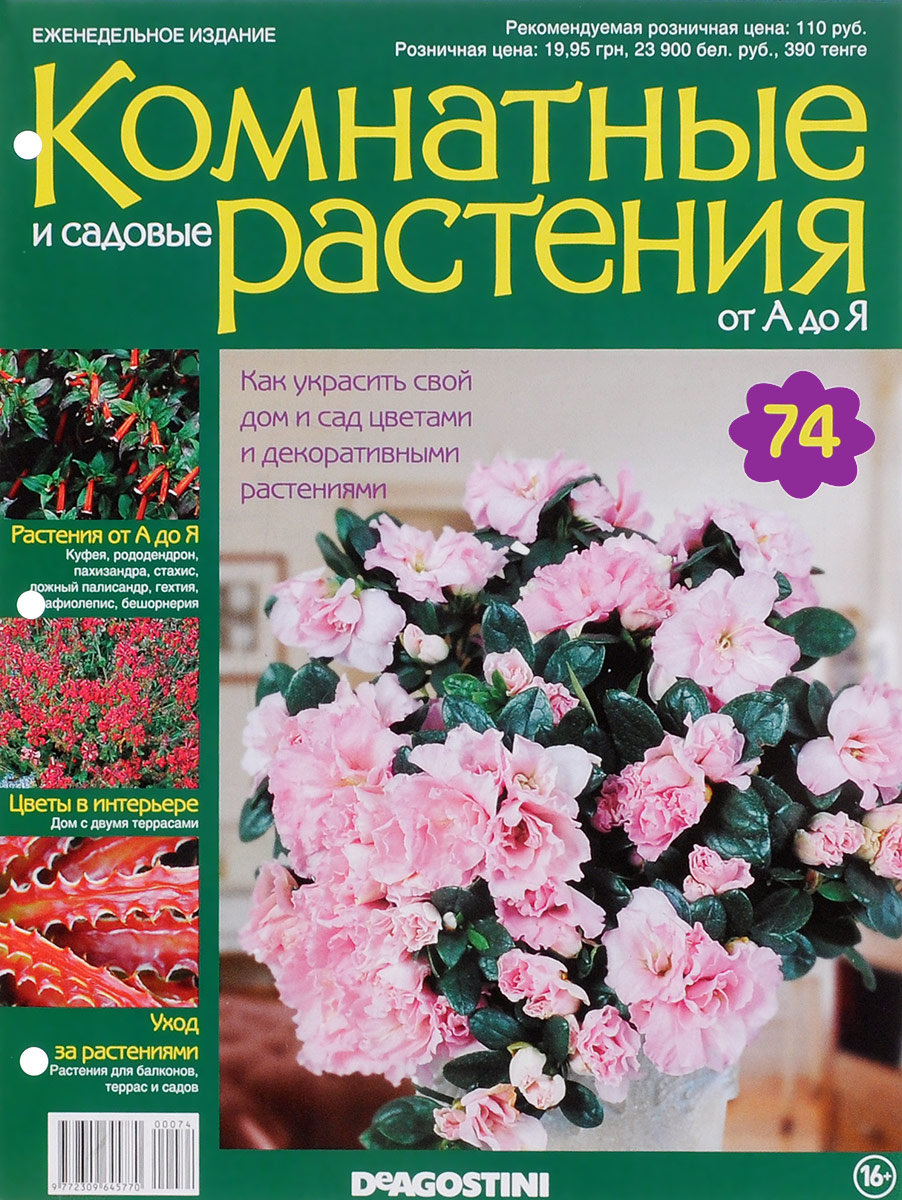Журнал Комнатные и садовые растения. От А до Я №74VRD074 Журнал Комнатные и садовые растения. От А до Я №74VRD074Хотите сделать приятный и полезный подарок людям, увлекающимся цветоводством, или углубить собственные познания в этой сфере? Коллекция журналов Комнатные и садовые растения. От А до Я поможет вам в этом. Из журнала вы узнаете, как украсить свой дом и сад цветами и декоративными растениями. Категория 16+.