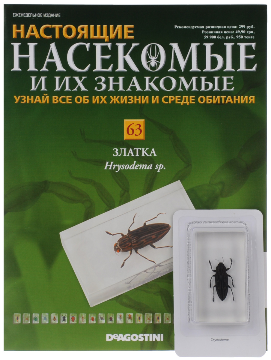 Журнал Насекомые и их знакомые №63INSECTSRL063 Журнал Насекомые и их знакомые №63INSECTSRL063Выпуски Насекомые и их знакомые представляют собой познавательные журналы, создаваемые специально для людей, увлекающихся энтомологией. Если вы решите заказать коллекцию Насекомые и их знакомые для ребенка, у него появится оригинальное хобби. Эта серия журналов станет приятным и полезным приобретением для каждого, кому интересны представители класса членистоногих. К данному выпуску прилагается образец златки (Hrysodema sp.), залитый эпоксидной смолой в брусок. Размер бруска: 7,5 х 4,5 х 2 см. Категория 12+.