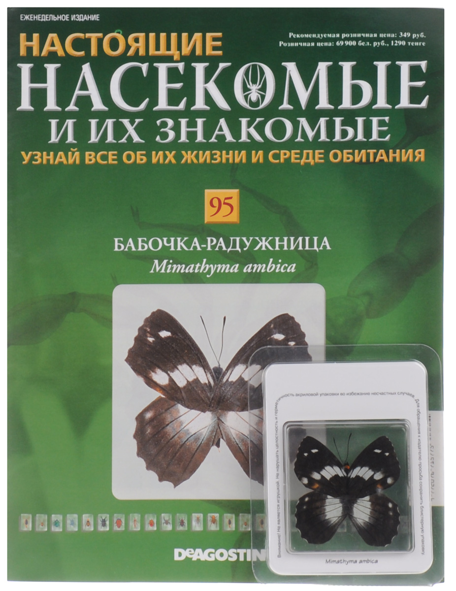 Журнал Насекомые и их знакомые №95INSECTSRL095 Журнал Насекомые и их знакомые №95INSECTSRL095Выпуски Насекомые и их знакомые представляют собой познавательные журналы, создаваемые специально для людей, увлекающихся энтомологией. Если вы решите заказать коллекцию Насекомые и их знакомые для ребенка - у него появится оригинальное хобби. Эта серия журналов станет приятным и полезным приобретением для каждого, кому интересны представители класса членистоногих. К данному выпуску прилагается образец бабочки-радужницы, залитый эпоксидной смолой в брусок. Размер бруска: 6,2 см х 6,2 см х 1,2 см. Категория 12+.