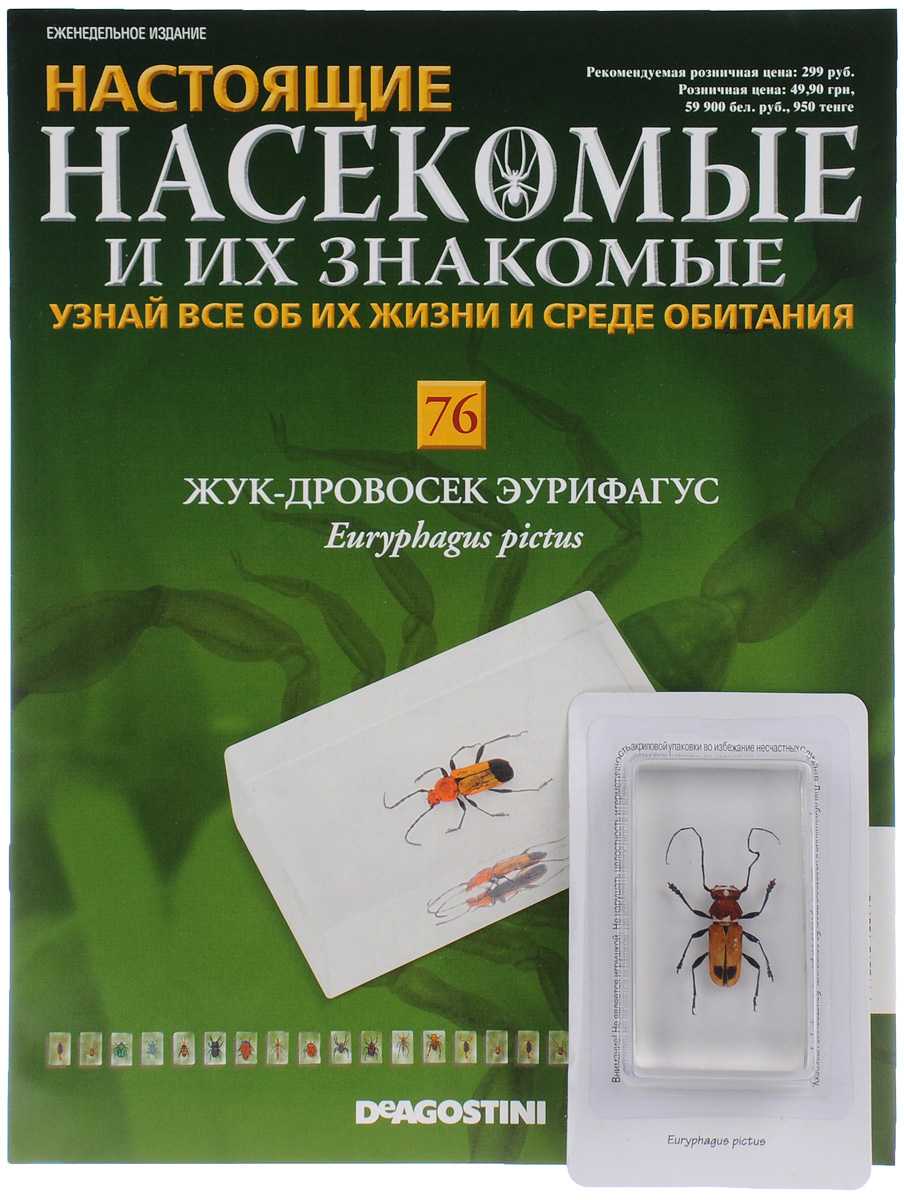 Журнал Насекомые и их знакомые №76INSECTSRL076 Журнал Насекомые и их знакомые №76INSECTSRL076Выпуски Насекомые и их знакомые представляют собой познавательные журналы, создаваемые специально для людей, увлекающихся энтомологией. Если вы решите заказать коллекцию Насекомые и их знакомые для ребенка, у него появится оригинальное хобби. Эта серия журналов станет приятным и полезным приобретением для каждого, кому интересны представители класса членистоногих. К данному выпуску прилагается образец жука-дровосека эурифагуса, залитый эпоксидной смолой в брусок. Размер бруска: 7,5 х 4,5 х 2 см. Категория 12+.