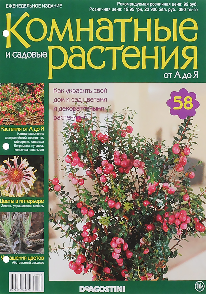 Журнал Комнатные и садовые растения. От А до Я №58VRD058 Журнал Комнатные и садовые растения. От А до Я №58VRD058Хотите сделать приятный и полезный подарок людям, увлекающимся цветоводством, или углубить собственные познания в этой сфере? Коллекция журналов Комнатные и садовые растения. От А до Я поможет вам в этом. Из журнала вы узнаете, как украсить свой дом и сад цветами и декоративными растениями. Категория 16+.